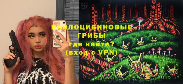 гашик Балахна