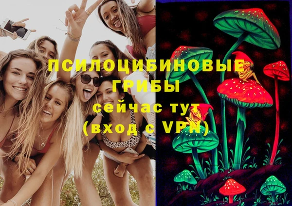 гашик Балахна
