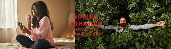 гашик Балахна
